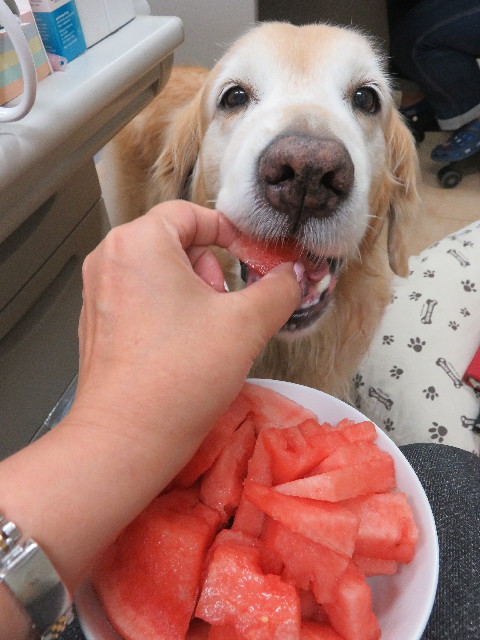 ファイル 5799-5.jpg