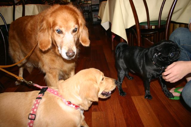 ファイル 58-4.jpg