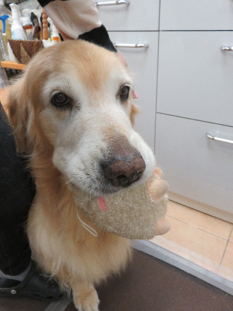 ファイル 5800-1.jpg