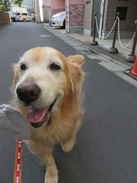 ファイル 5801-3.jpg