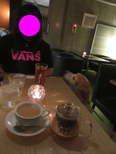 ファイル 5804-1.jpg