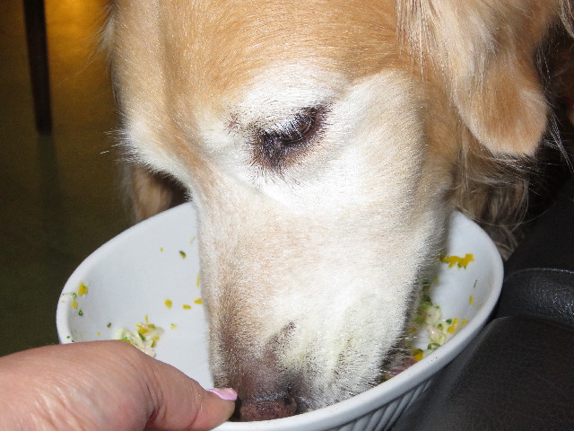 ファイル 5804-2.jpg