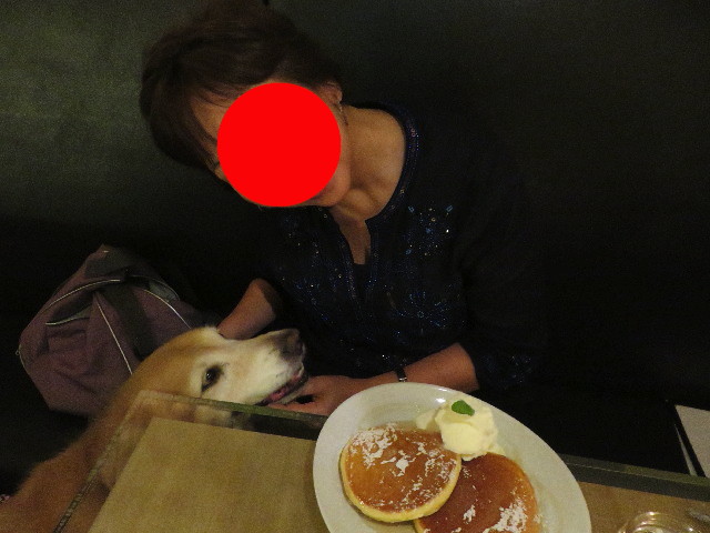 ファイル 5804-5.jpg