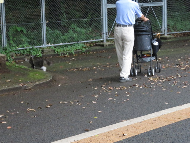 ファイル 5806-2.jpg