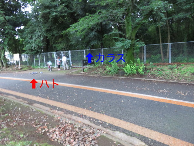 ファイル 5806-3.jpg