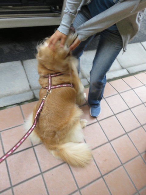 ファイル 5806-5.jpg