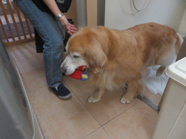 ファイル 5809-3.jpg