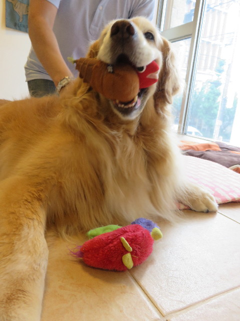 ファイル 5809-5.jpg