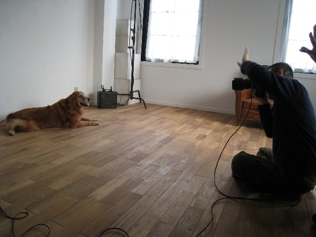 ファイル 581-2.jpg