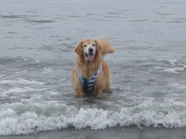 ファイル 5810-1.jpg