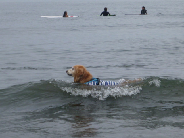 ファイル 5810-3.jpg