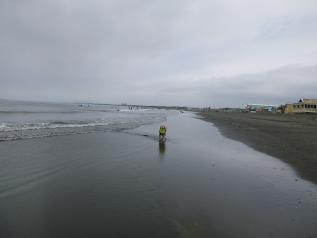 ファイル 5810-4.jpg