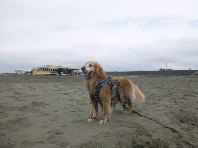 ファイル 5810-5.jpg