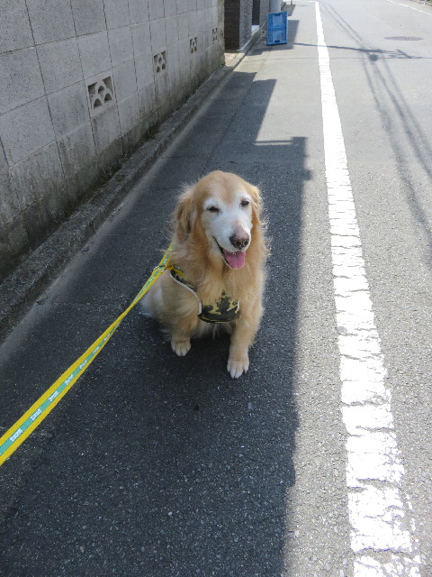 ファイル 5812-1.jpg