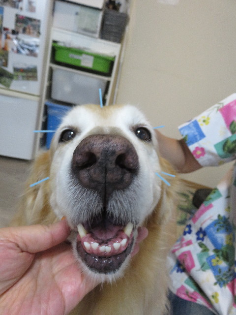 ファイル 5815-3.jpg