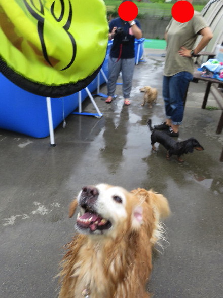 ファイル 5816-4.jpg