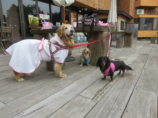 ファイル 5816-5.jpg