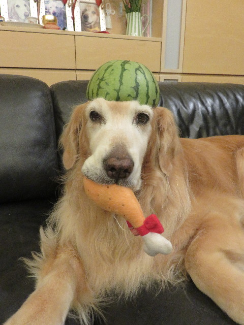 ファイル 5817-2.jpg