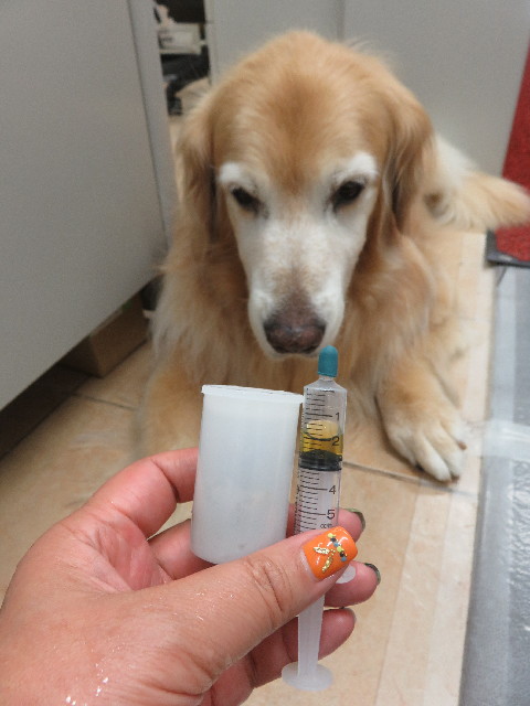 ファイル 5818-3.jpg