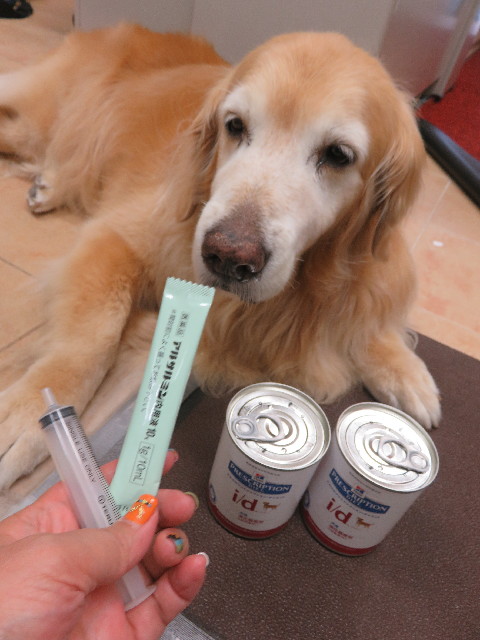 ファイル 5818-5.jpg