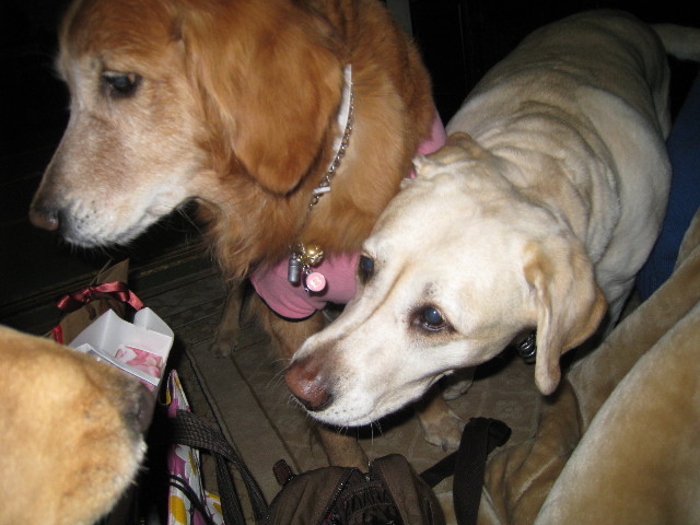 ファイル 582-1.jpg