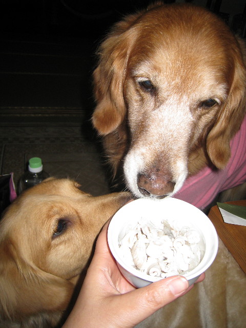 ファイル 582-2.jpg