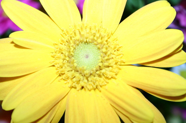 ファイル 582-5.jpg