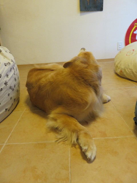 ファイル 5821-3.jpg