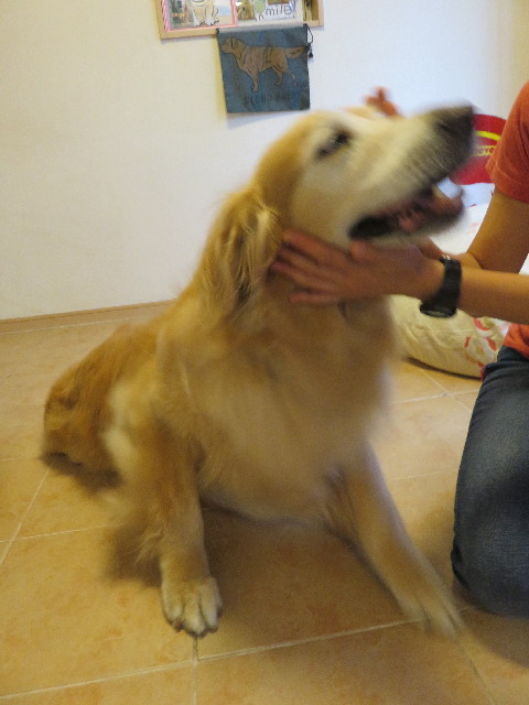 ファイル 5821-4.jpg