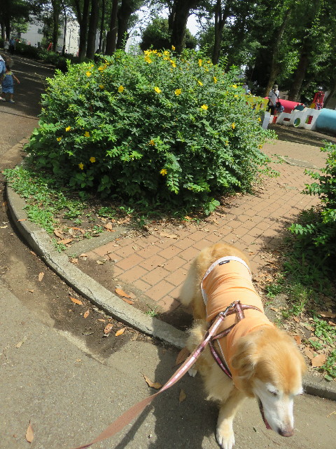 ファイル 5823-2.jpg