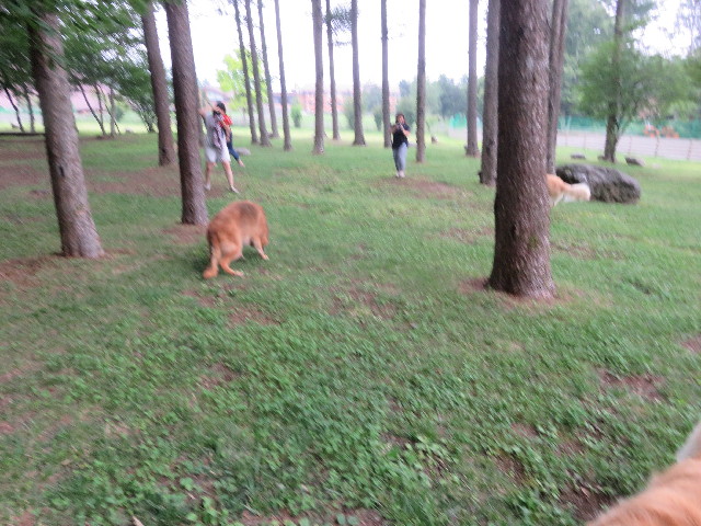 ファイル 5828-2.jpg