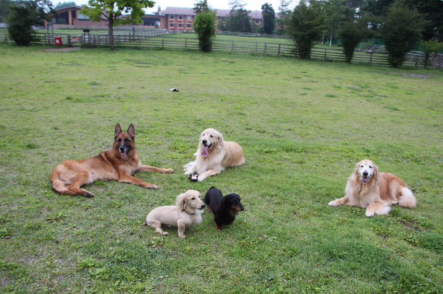 ファイル 5828-5.jpg