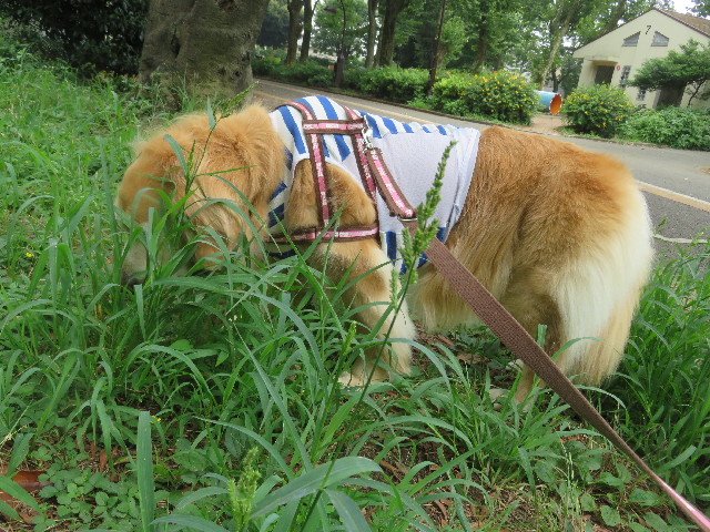 ファイル 5829-1.jpg