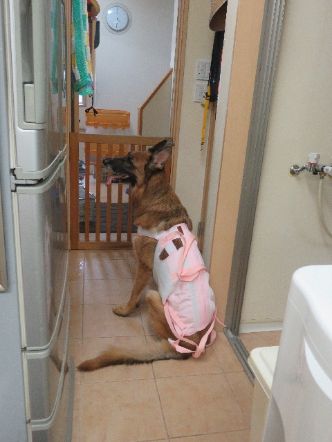 ファイル 5829-4.jpg