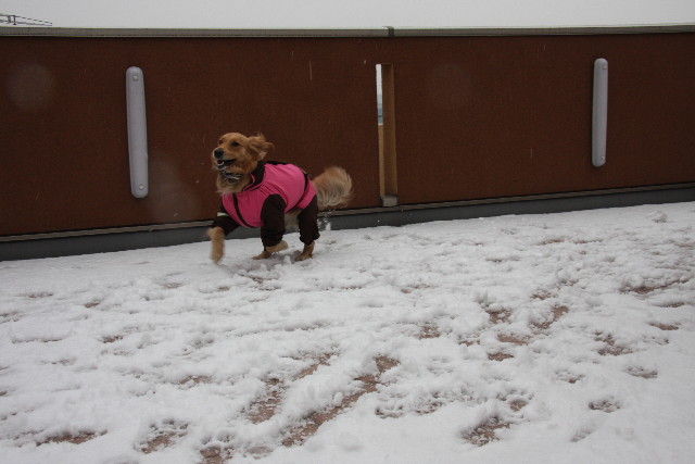 ファイル 583-2.jpg