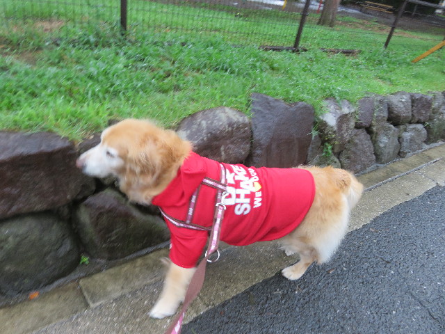 ファイル 5830-1.jpg