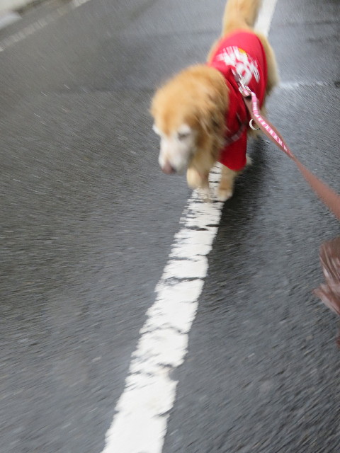 ファイル 5830-2.jpg