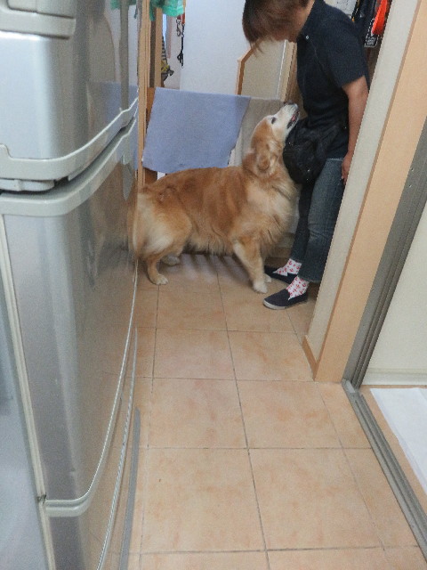 ファイル 5830-4.jpg