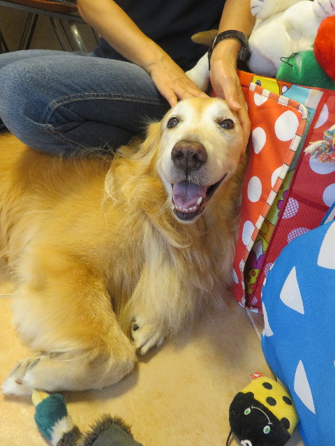 ファイル 5831-4.jpg