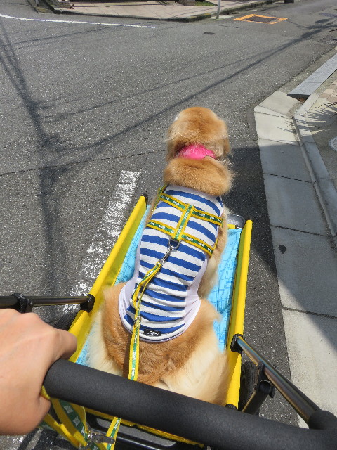 ファイル 5834-1.jpg