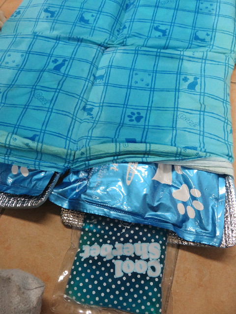 ファイル 5834-2.jpg