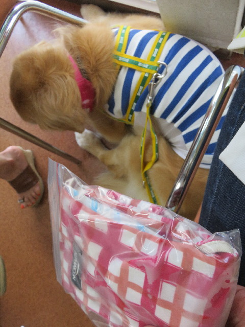 ファイル 5834-3.jpg