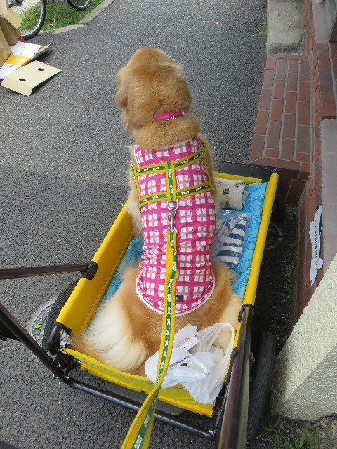 ファイル 5834-4.jpg