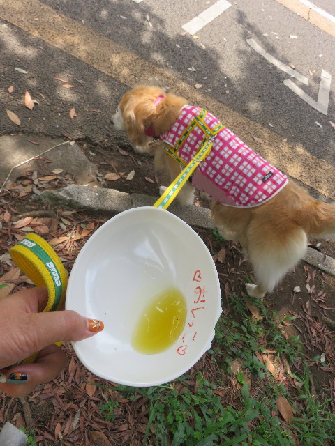 ファイル 5834-5.jpg