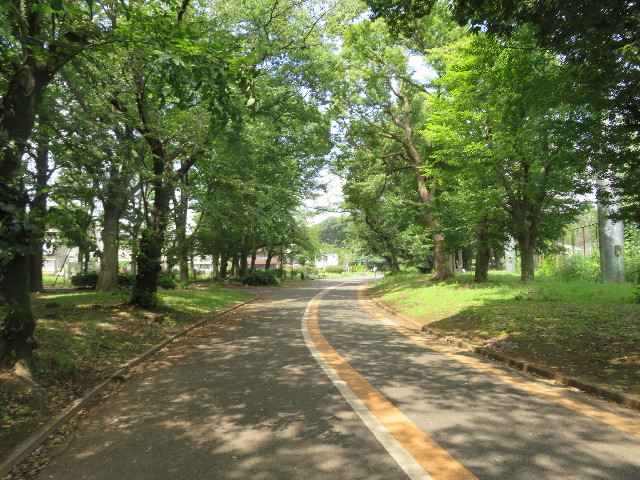 ファイル 5835-1.jpg