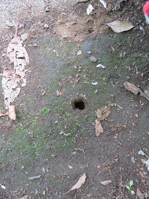 ファイル 5835-2.jpg