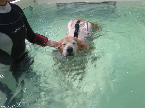 ファイル 5835-4.jpg