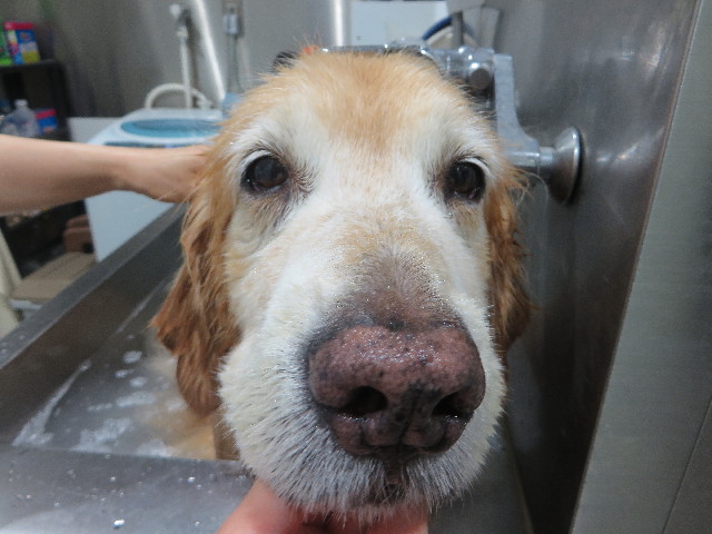 ファイル 5835-5.jpg