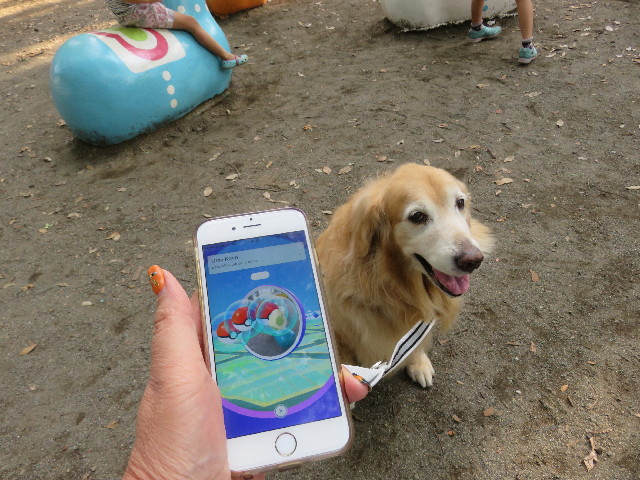 ファイル 5839-1.jpg