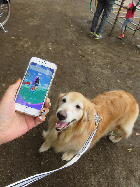 ファイル 5839-3.jpg